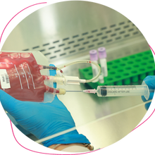The Array of Clinical Testing Cord Blood Undergoes