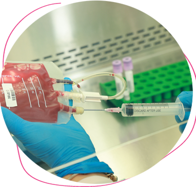 The Array of Clinical Testing Cord Blood Undergoes